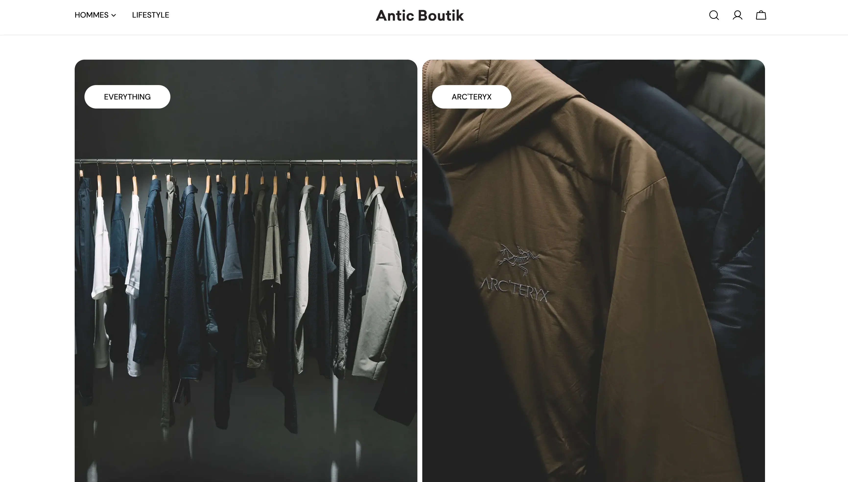 Capture d'écran du site anticboutik.com